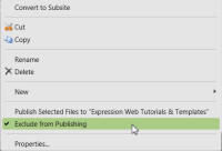 Screenshot Exclude from publishing.
