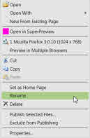 Screenshot Rename File Menu.