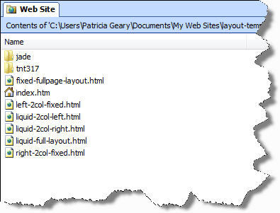 Screenshot of Expression Web Folder List.