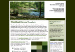 Screenshot of Wood Stream 2 column template.
