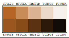 Screenshot of brown color pallette.