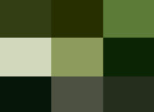 Color Palette Used for this template.