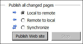 Screenshot lower publishing section of dialogue box.
