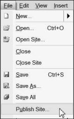 Screenshot Publish Site Menu.