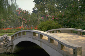 Description of Picture.