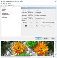 Screenshot Image Rotator Style Editor.