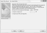 Screenshot - Import Site Wizard - Set import limits.