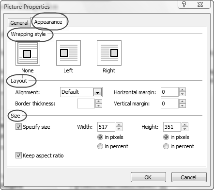 Screenshot of the Picture Properties Dialogue Box Appearance Tab.