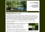 Screenshot Woodland Stream full template.